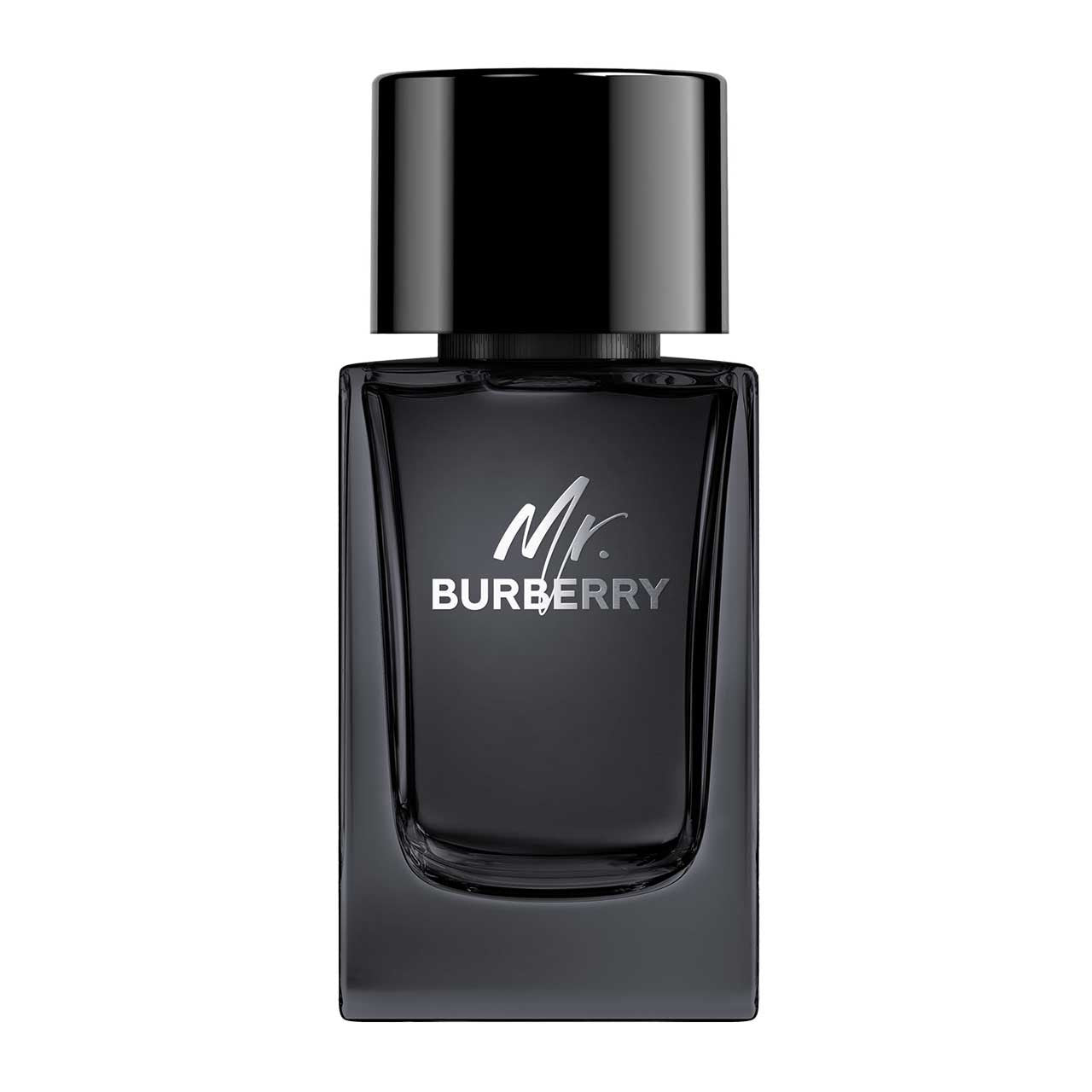 Mr Burberry Eau de Parfum 100 ml